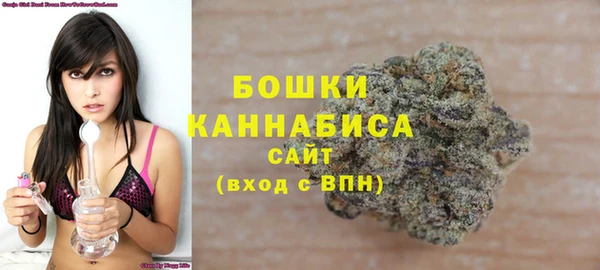 apvp Верхний Тагил