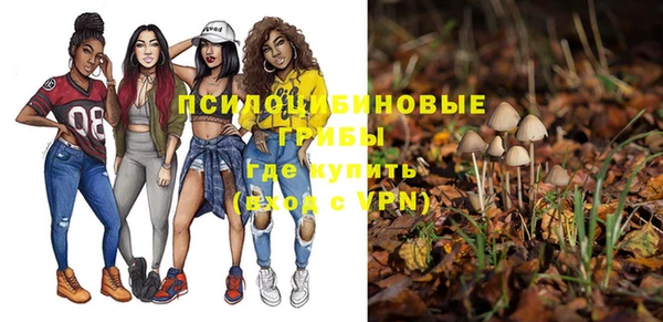 apvp Верхний Тагил