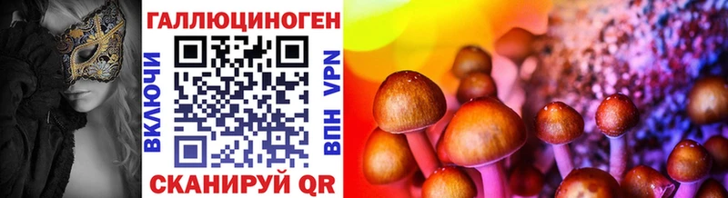 купить закладку  Ессентуки  ссылка на мегу как войти  Галлюциногенные грибы Cubensis 